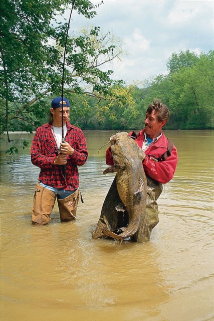World Record Flathead Controversy Monsterfishkeepers Com
