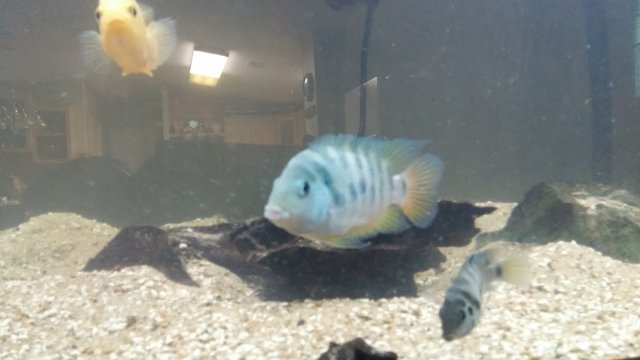 20160714_234203.jpg