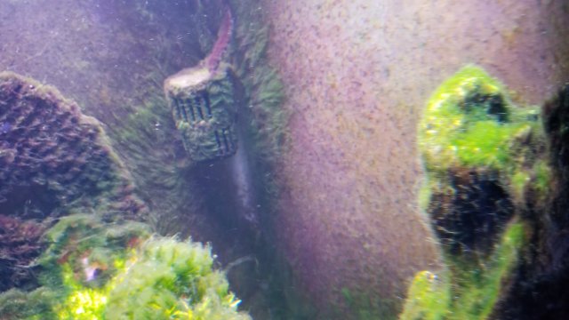 20180123_053808.jpg