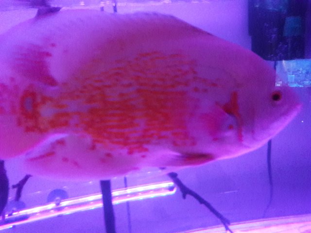 20180120_230418.jpg