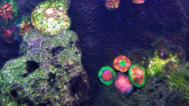 20180123_193334.jpg