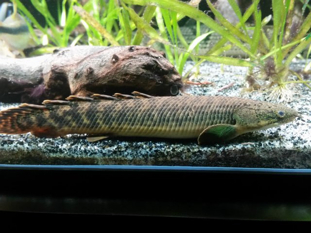 20180123_223757.jpg