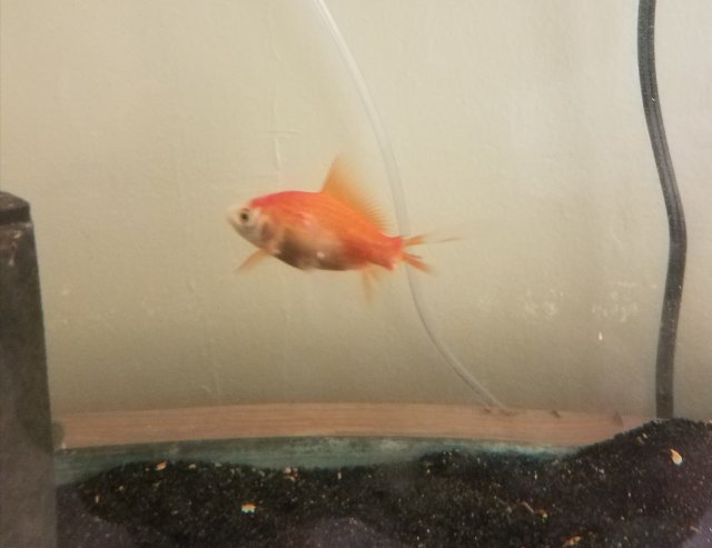 20180124_105201.jpg