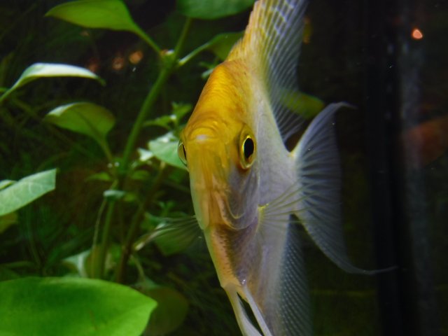 DSCF2048.jpg