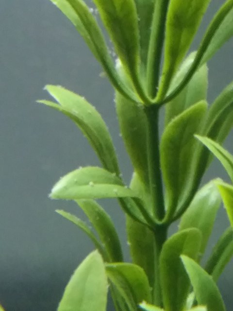 20180124_145717.jpg