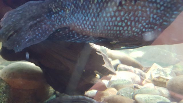 20180125_181134.jpg