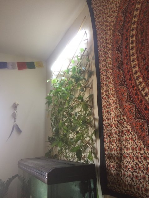 39849279-8C15-4EF2-B463-DCBAAEB5BE7A.jpeg 39849279-8C15-4EF2-B463-DCBAAEB5BE7A.jpeg