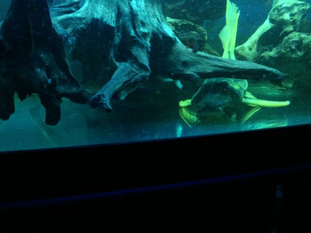 39D37988-C573-41DD-ACC0-4FEFBECE1327.jpeg