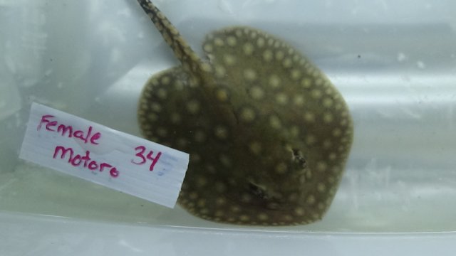 DSC00994.JPG DSC00994.JPG