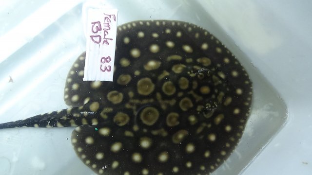 DSC00963.JPG DSC00963.JPG