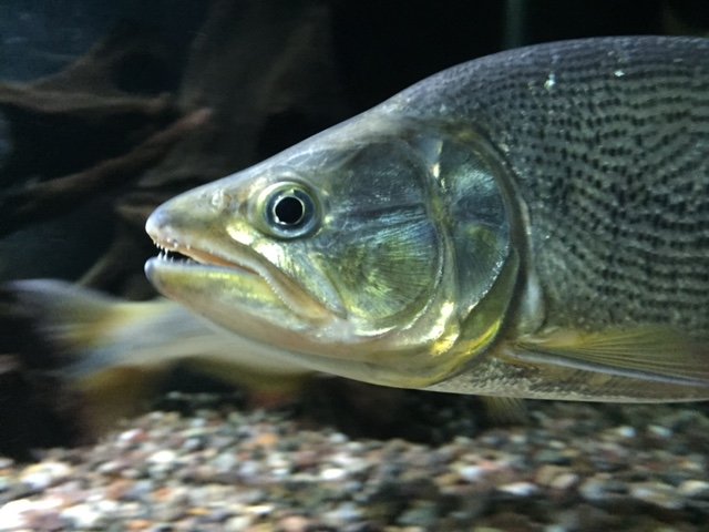 image1.JPG
