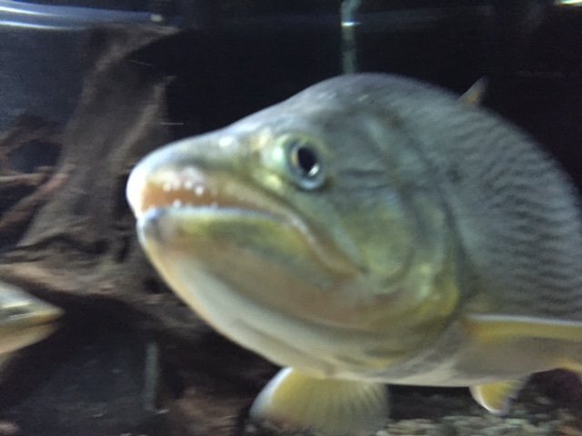 image2.JPG