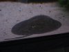 IMG_0077.jpg