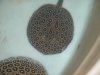DSCN3445.JPG