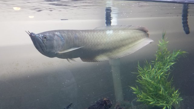 20180120_211019.jpg 20180120_211019.jpg