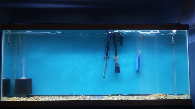 1517159409575-113451963.jpg 1517159409575-113451963.jpg