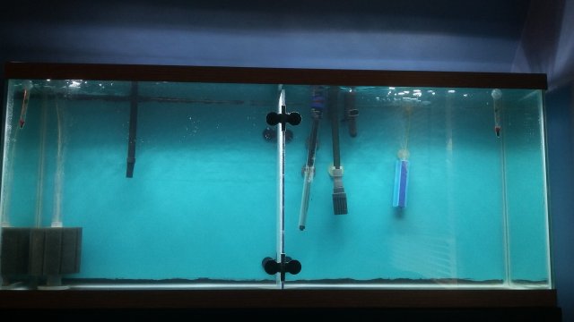 1517167114812447544139.jpg 1517167114812447544139.jpg