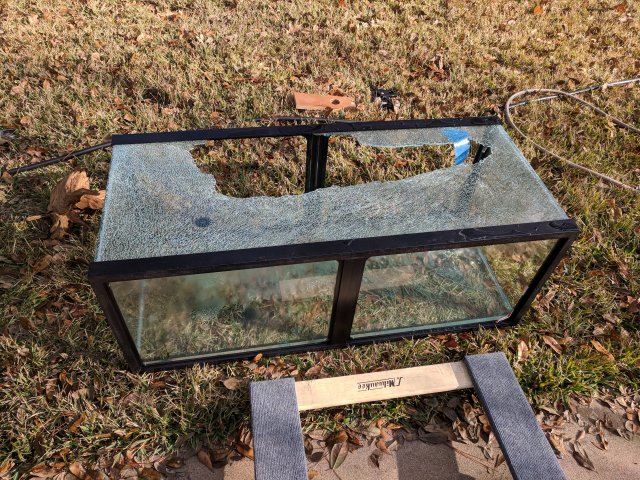 IMG_20180128_154004.jpg IMG_20180128_154004.jpg