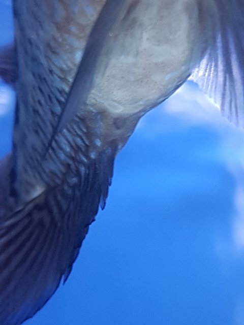 20180125_180948.jpg