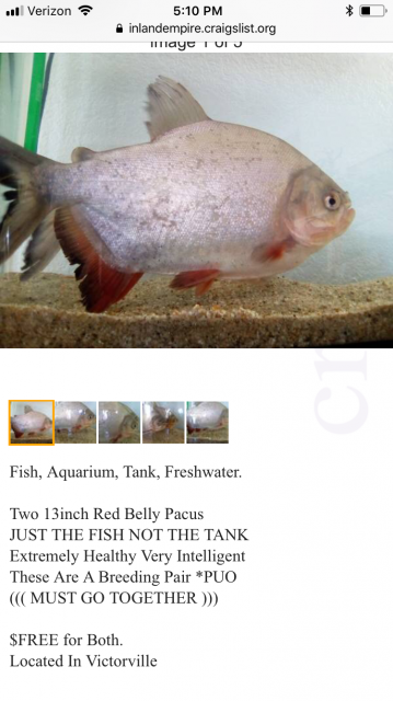 D3F82560-097B-4AA3-B6E0-E7DAF8E7C3C3.png D3F82560-097B-4AA3-B6E0-E7DAF8E7C3C3.png