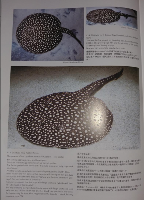 Screen Shot 2018-01-29 at 3.42.41 PM.png