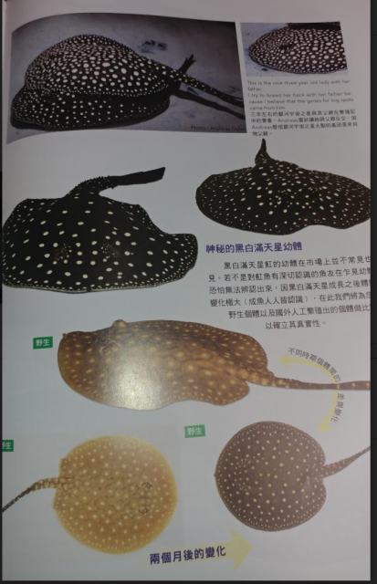 Screen Shot 2018-01-29 at 3.43.03 PM.png Screen Shot 2018-01-29 at 3.43.03 PM.png