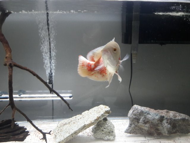 20180127_223834.jpg