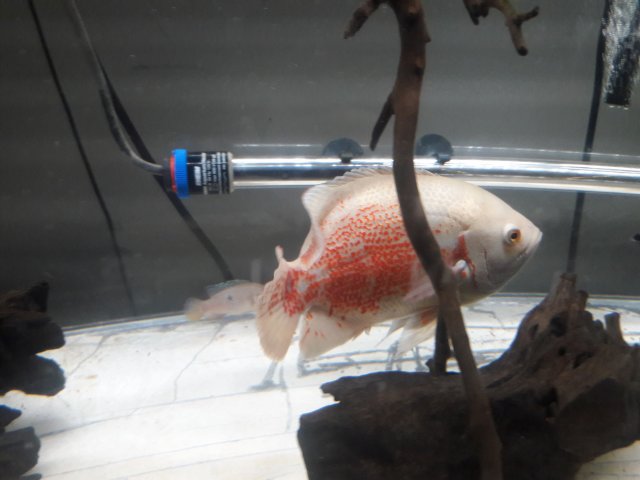 20180130_004826.jpg