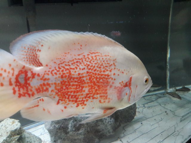20180130_004847.jpg