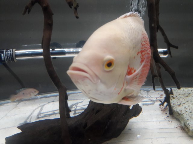 20180130_004830.jpg