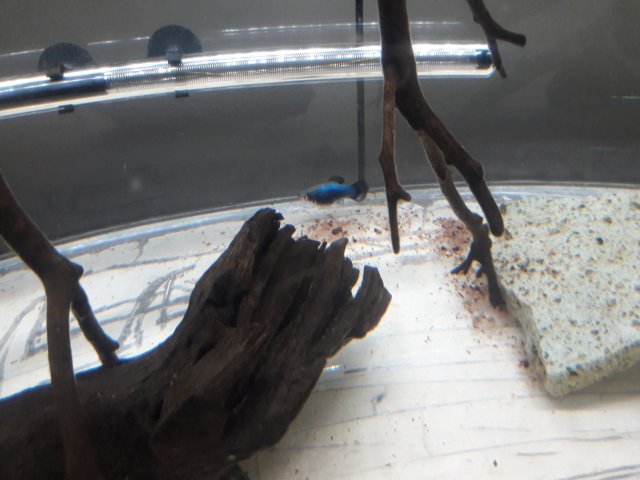 20180130_150513.jpg