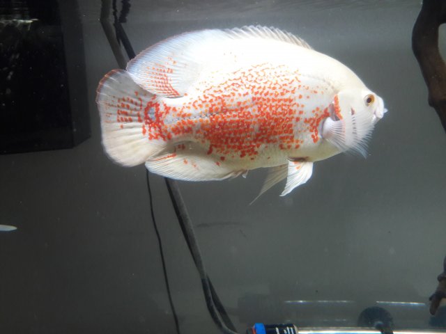 20180130_150431.jpg