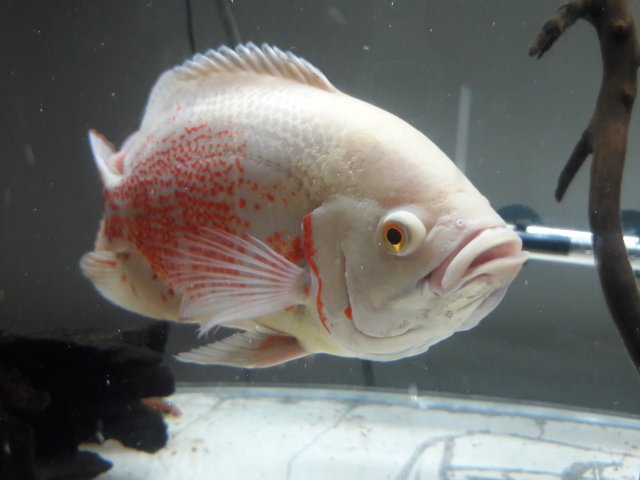 20180130_150457.jpg