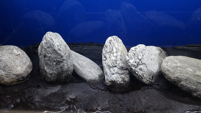 20180131_183835.jpg