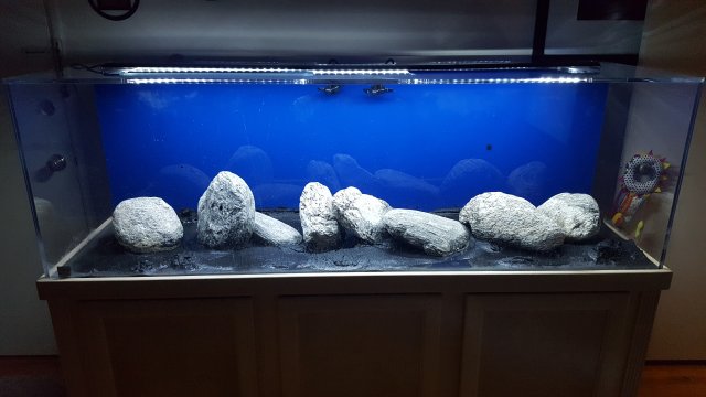 20180131_183823.jpg