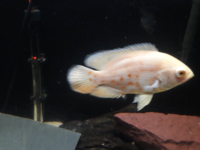 20170706_114933.jpg
