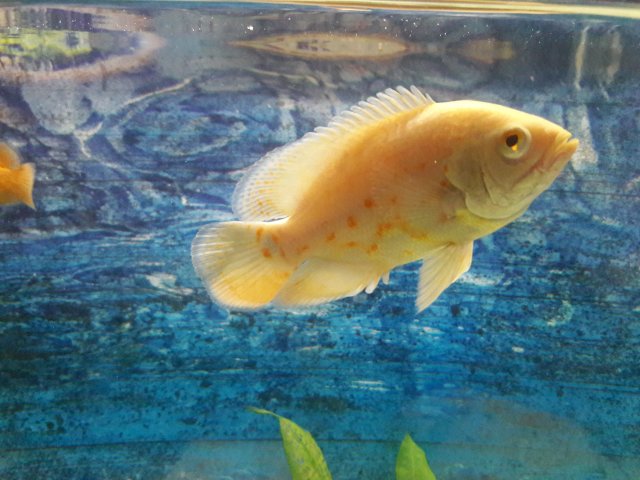 20170718_115645.jpg