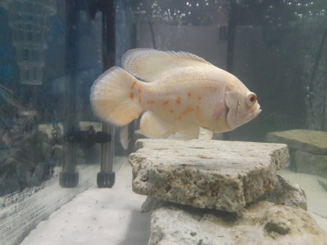 20170806_110915.jpg