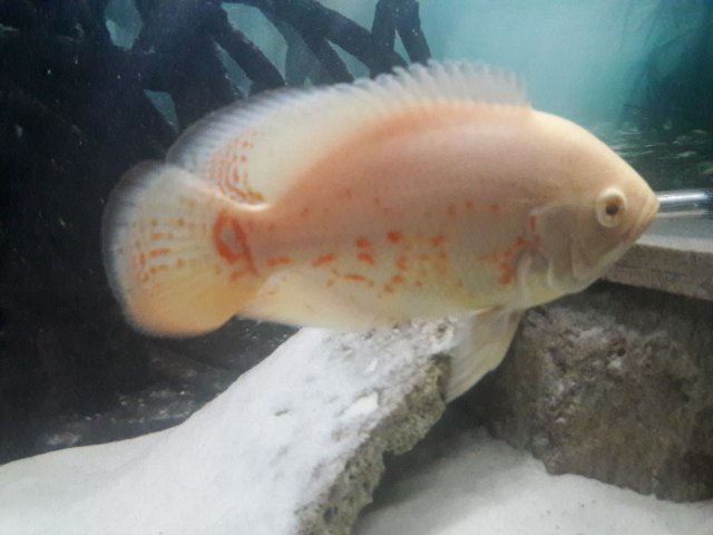 20170918_120920.jpg
