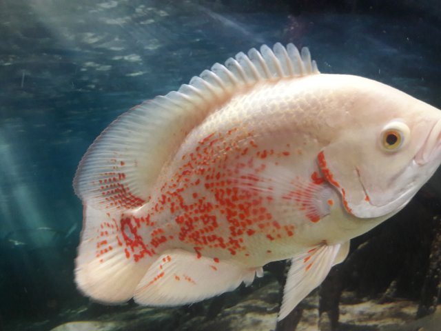 20171217_010536.jpg