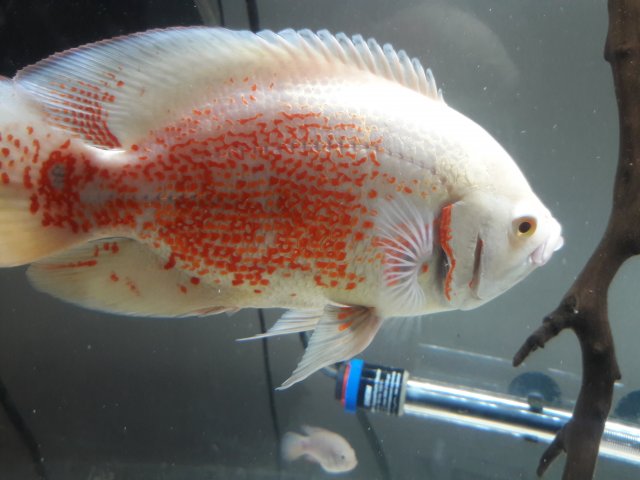20180130_150441.jpg