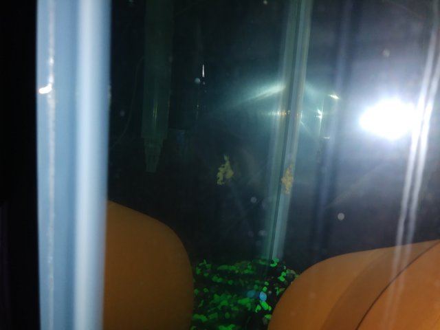 20180201_171956.jpg 20180201_171956.jpg