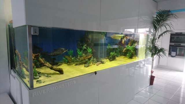 DSC_4609.JPG