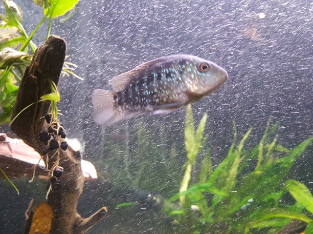 20180130_191657.jpg