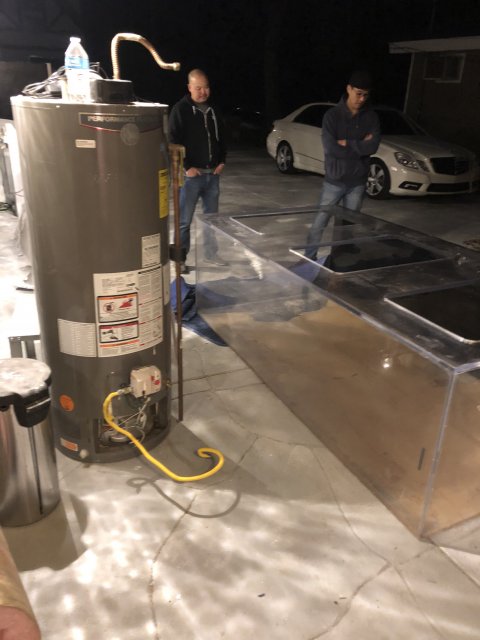 DD6774B7-C038-4499-96DC-A09CCCE1D66D.jpeg DD6774B7-C038-4499-96DC-A09CCCE1D66D.jpeg