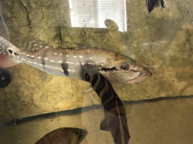 IMG_3028.JPG