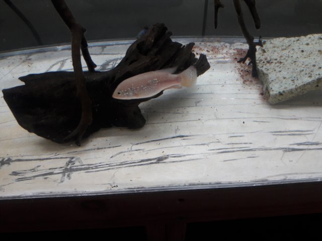20180130_150521.jpg