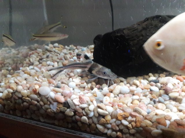 20180203_164354.jpg