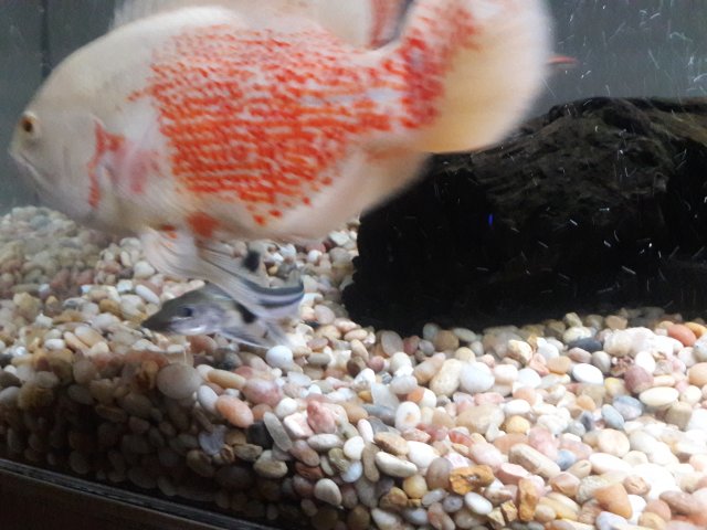 20180203_164358.jpg