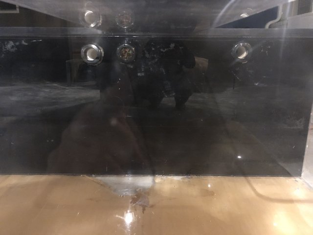 2DB9C12D-20DA-45F1-A0C2-4AD20267F8F4.jpeg